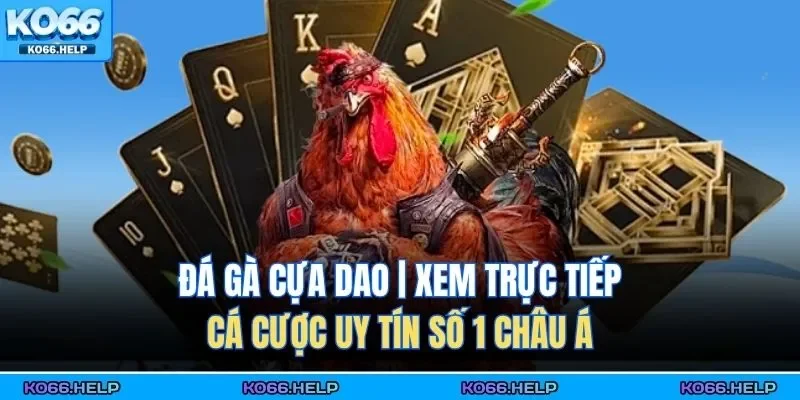 Đá gà cựa dao không chỉ là cơ hội trải nghiệm