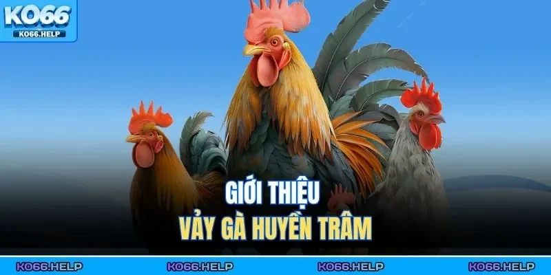 Giới thiệu vảy gà huyền trâm