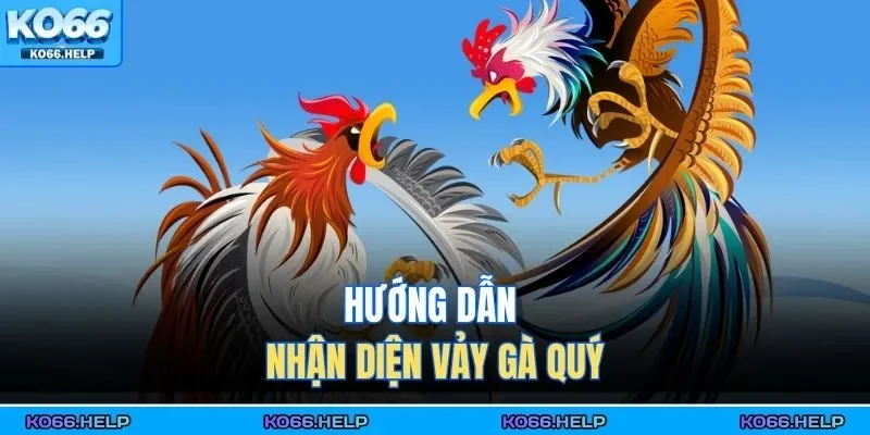 Hướng dẫn nhận diện vảy gà quý