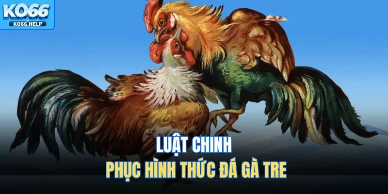 Đá Gà Tre Tại Ko66 - Sự Kịch Tính Trong Từng Pha Ra Đòn 3 Luật chinh phục hình thức đá gà tre