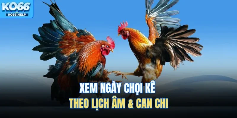 Xem ngày chọi kê theo lịch âm & can chi